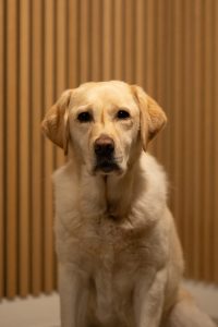 20251209 2r1a1264 (1)